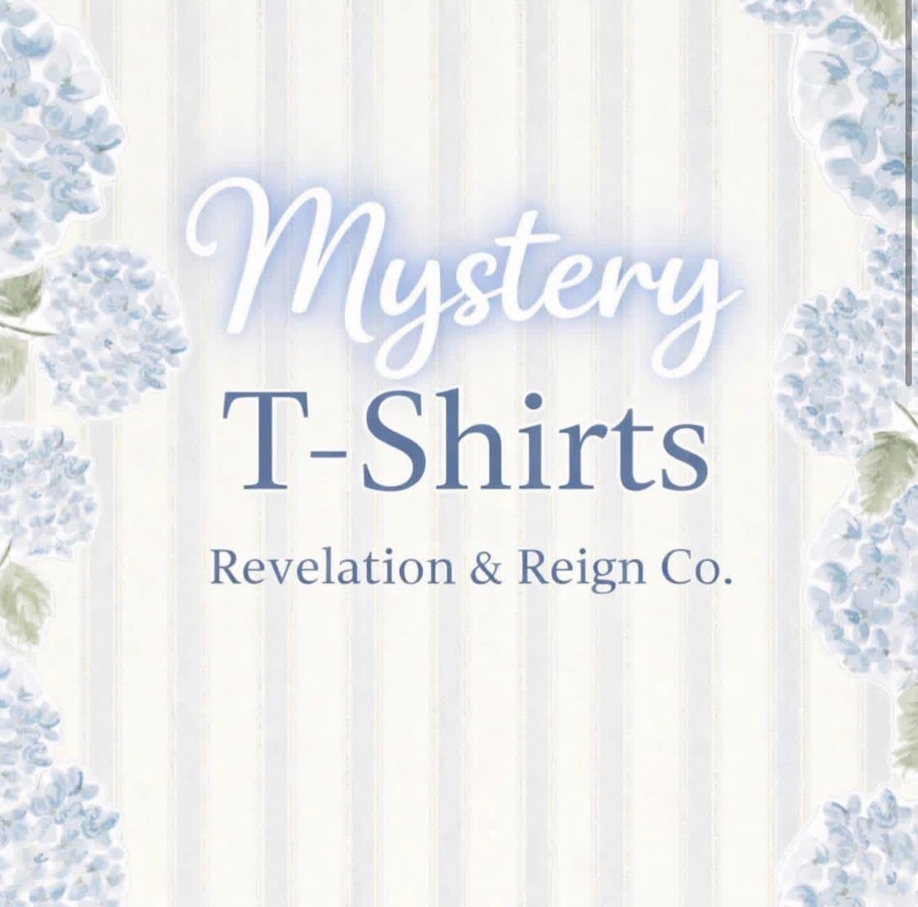 Mystery Adult T-Shirt